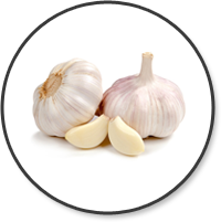 Bawang Putih