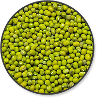 Kacang Hijau